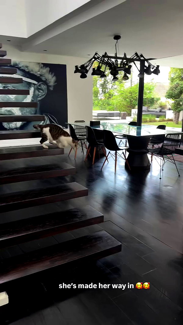 ellie.coldwell archive video preview