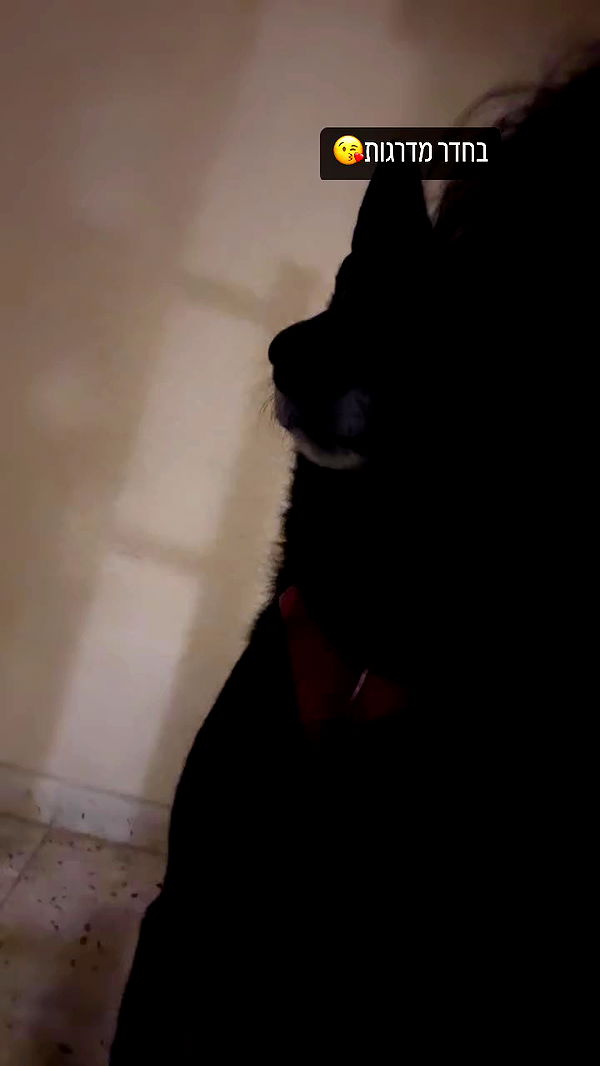 hellokittyangel666 archive video preview