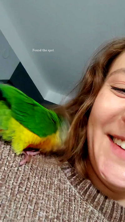 1justsabi 1justsabi archive video