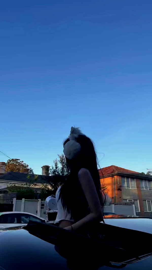 suadaunanh_ne archive video preview