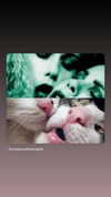 dollparts444 Altpins Profile Picture