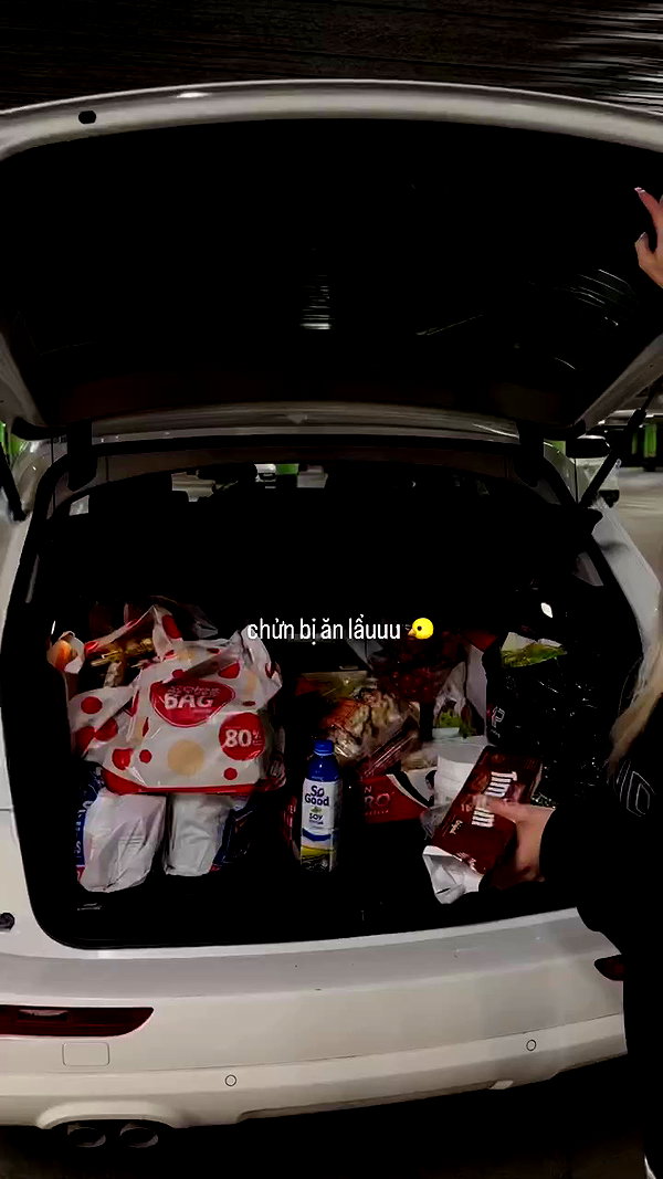 suadaunanh_ne archive video preview
