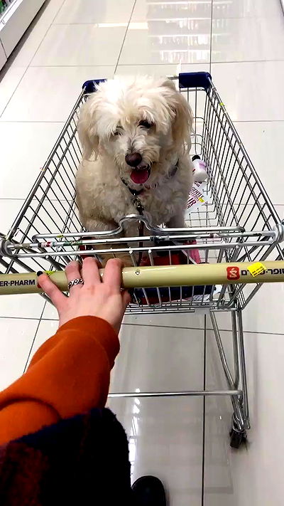 feelbetterinmysweater feelbetterinmysweater archive video