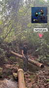 emmiencollins Altpins Profile Picture
