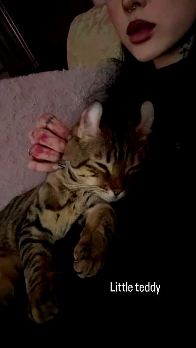 laurinchhhe laurinchhhe archive video