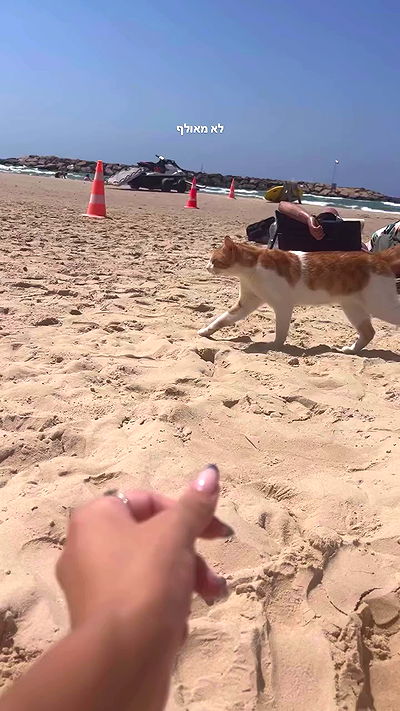 yaelxyazdi yaelxyazdi archive video