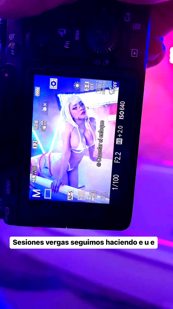robert.hz archive video preview