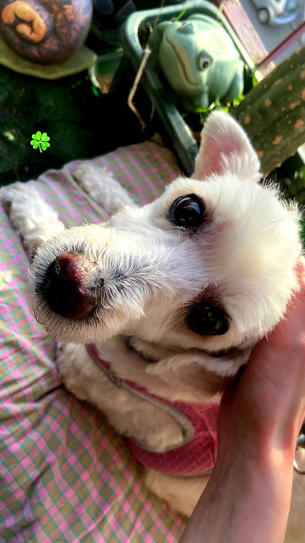 feelbetterinmysweater archive video preview