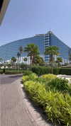 tohar.harosh Altpins Profile Picture