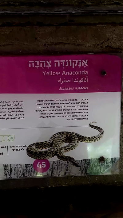 noyaislilith333 noyaislilith333 archive video