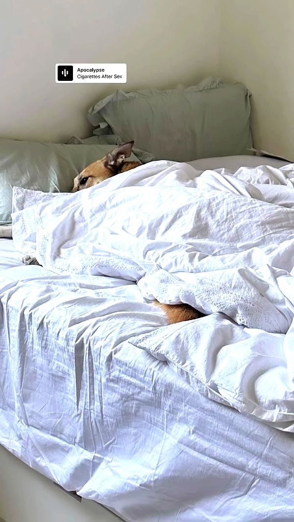 liashaked archive video preview