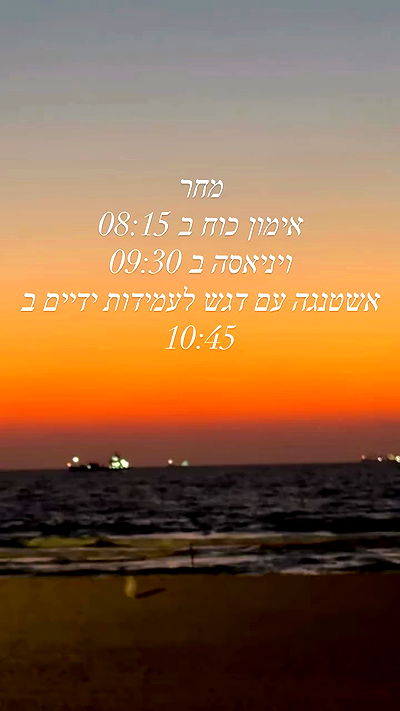 liad.arazi liad.arazi archive video