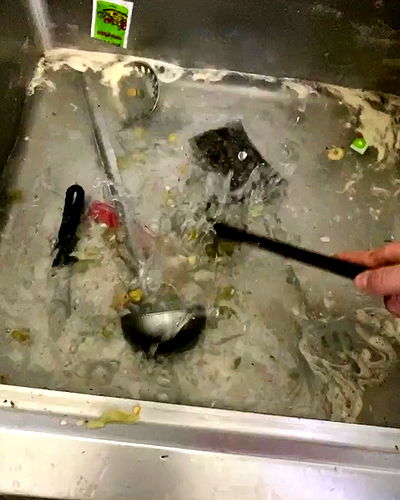 tuliprivet tuliprivet archive video