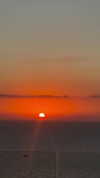 emelyeender Altpins Profile Picture