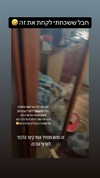 sapir_shemer Altpins Profile Picture