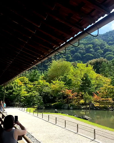 yoo.mon yoo.mon archive video