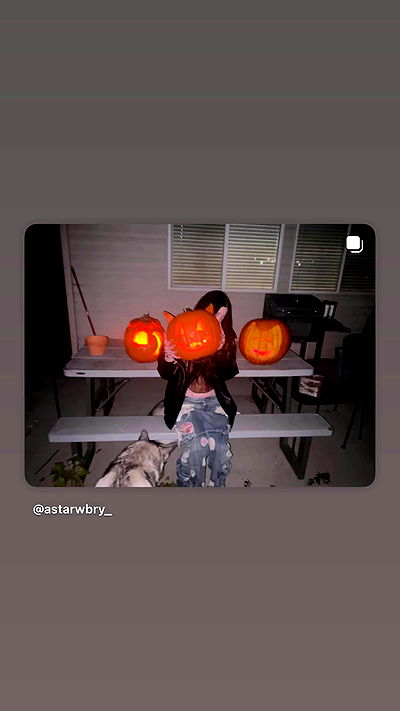 _animechika_ _animechika_ archive video