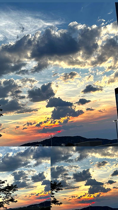 thelizzyporter thelizzyporter archive video