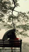 jessie_ng06 Altpins Profile Picture