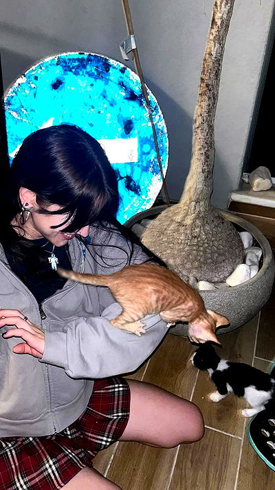 feelbetterinmysweater feelbetterinmysweater archive video