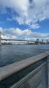 sydney_melman Altpins Profile Picture