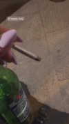 d3ad.doll Altpins Profile Picture