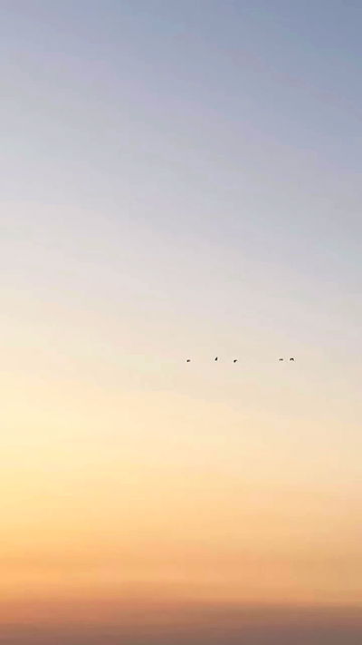 noa_zemlyanski noa_zemlyanski archive video