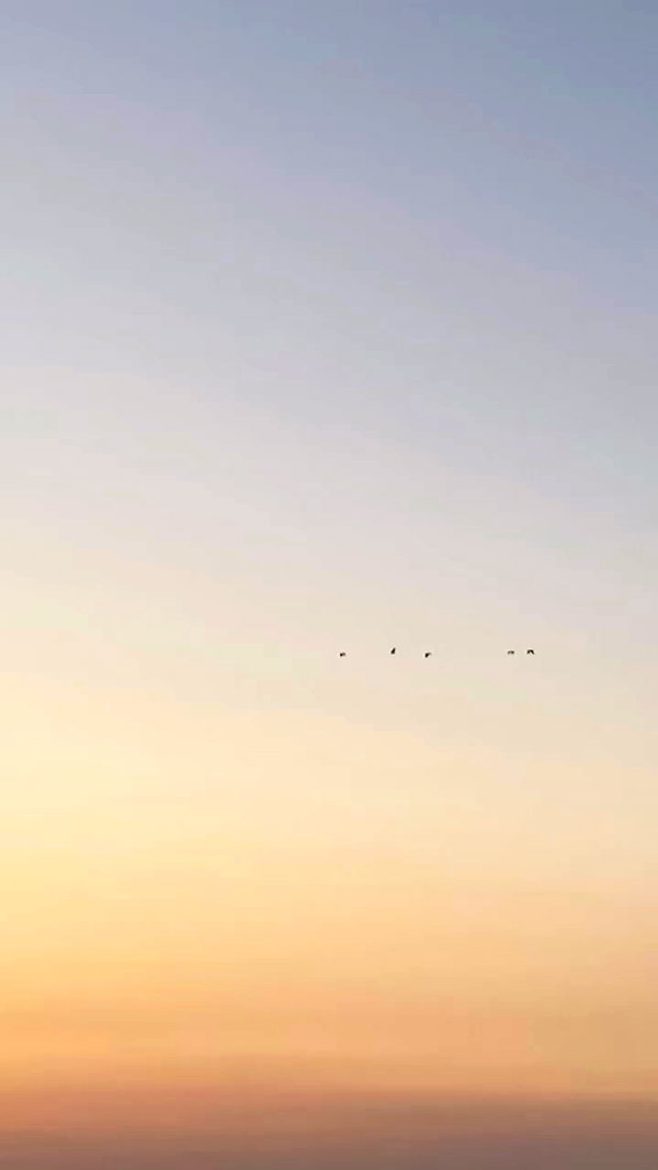 noa_zemlyanski archive video preview