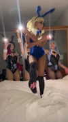 accelkitty Altpins Profile Picture