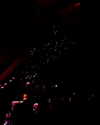 lilliaanderson Altpins Profile Picture