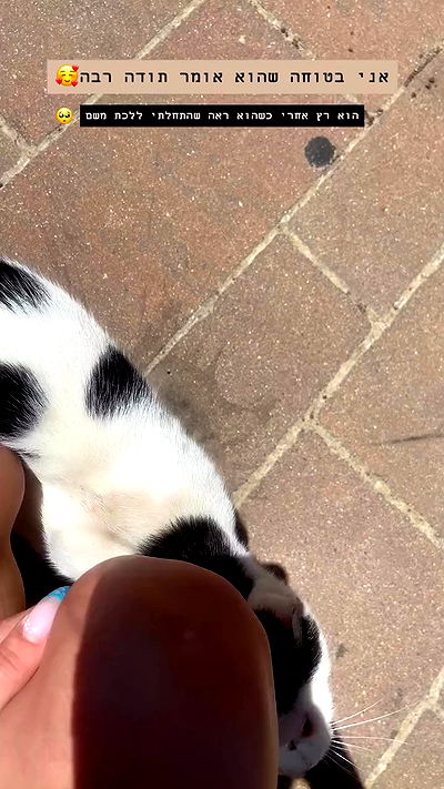 g.a.l.1.a g.a.l.1.a archive video