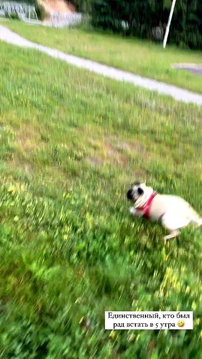 nyityam nyityam archive video