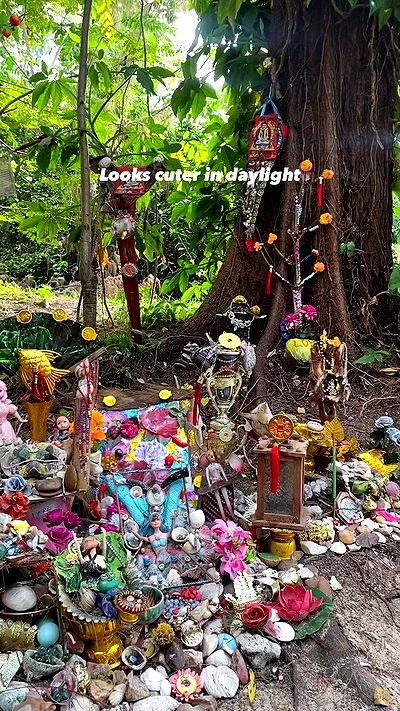 yam_adler yam_adler archive video