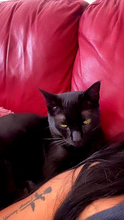 rebecka_tsadok rebecka_tsadok archive video