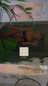 caitlynpasznicki Altpins Profile Picture