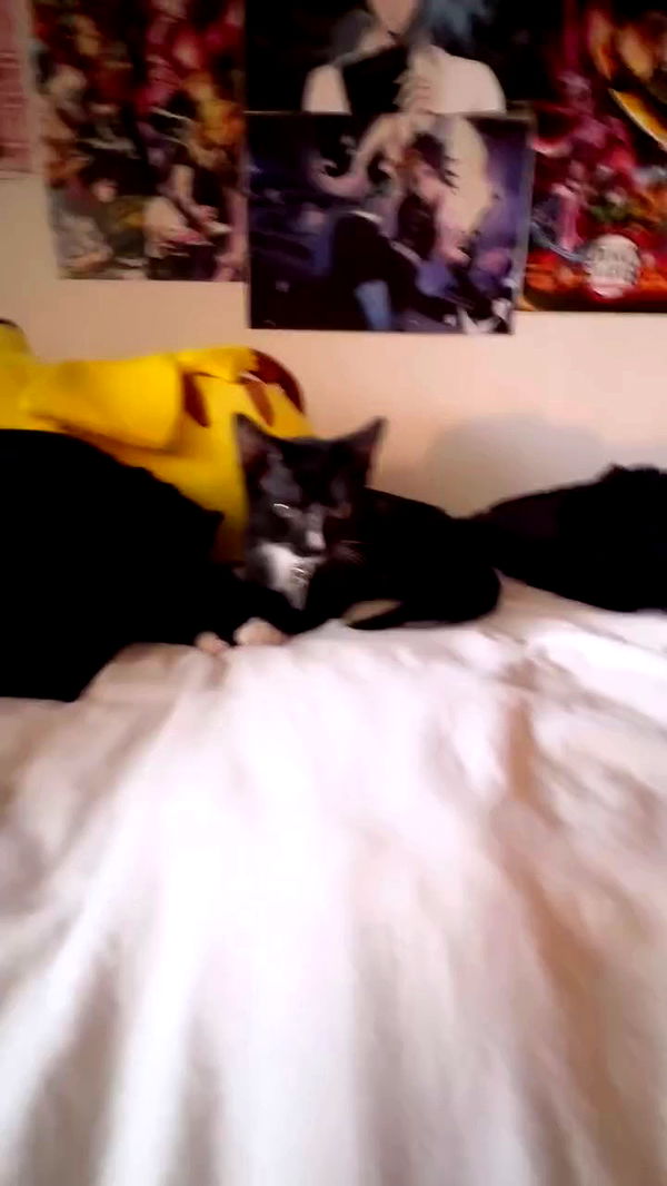 6nattynat9 archive video preview