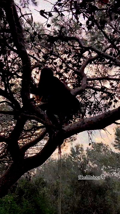 feelbetterinmysweater feelbetterinmysweater archive video