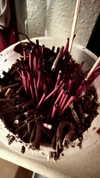 d0lli.ii Altpins Profile Picture