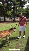 karin_polonsky Altpins Profile Picture