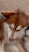 jailyneojeda Altpins Profile Picture