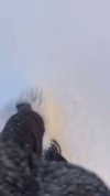 murl1kalka Altpins Profile Picture