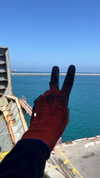 vadim_evs Altpins Profile Picture