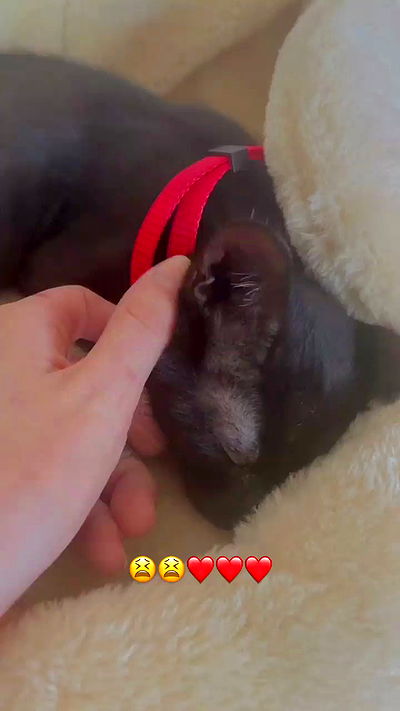 feelbetterinmysweater feelbetterinmysweater archive video