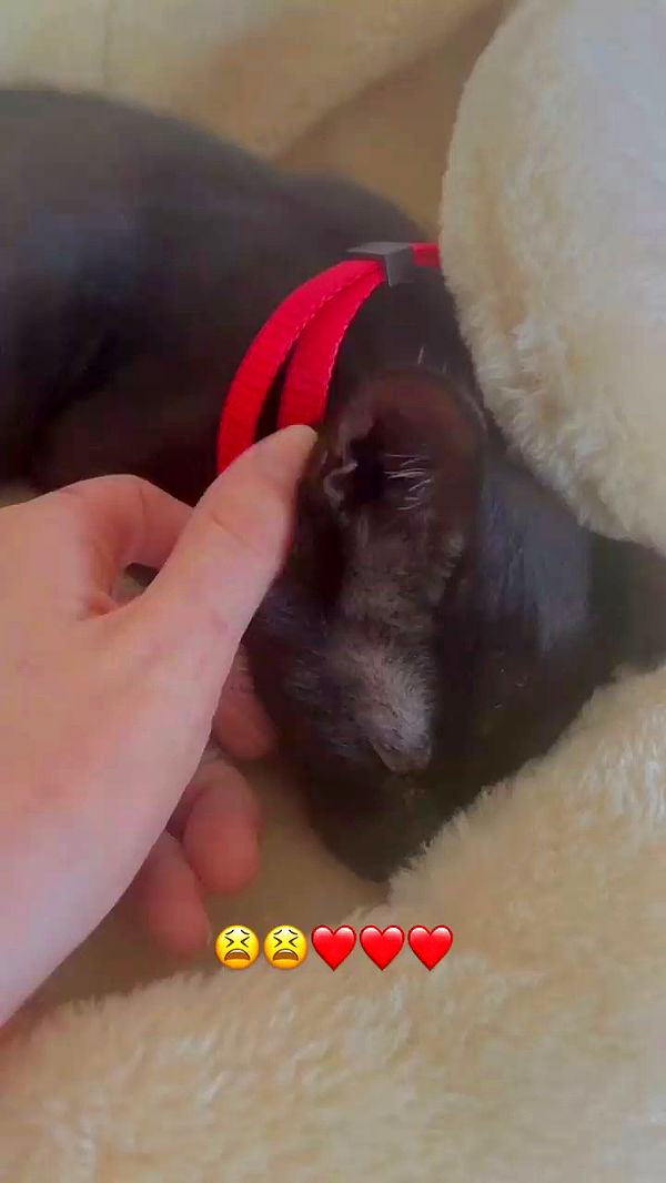 feelbetterinmysweater archive video preview