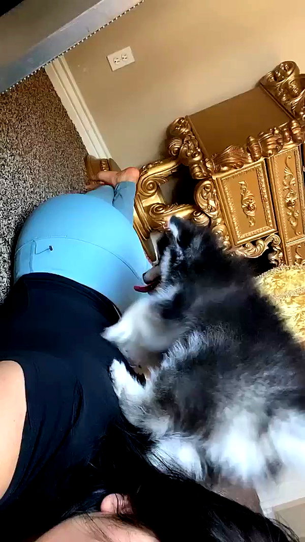 jailyneojeda archive video preview