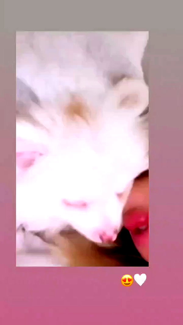 sbt__00 archive video preview