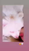 sbt__00 Altpins Profile Picture