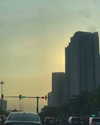 suadaunanh_ne Altpins Profile Picture