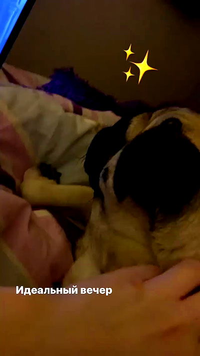 nyityam nyityam archive video