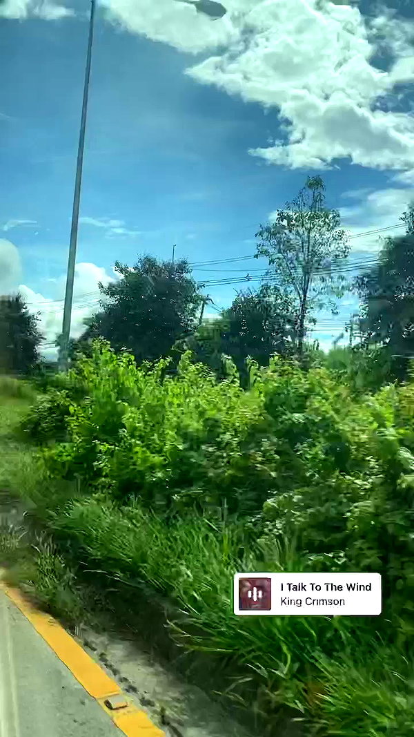 amyeett archive video preview